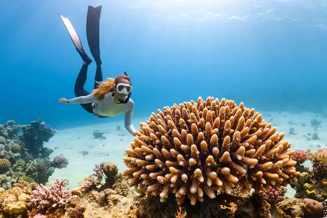 Island Paradise: Coral Island's Breathtaking Coastal Views Unveiled